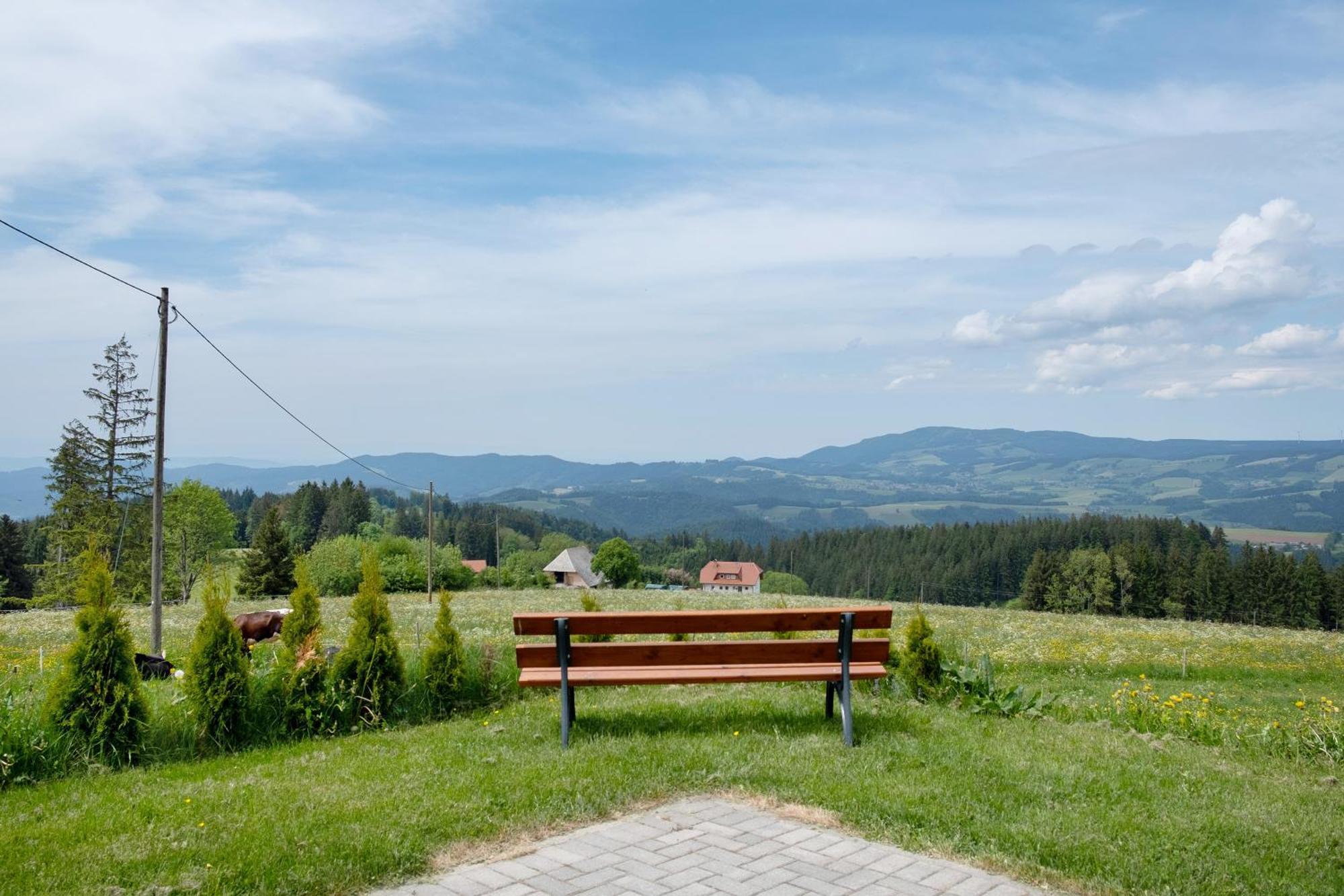 Apartamento Bäuerleshütte Breitnau Exterior foto