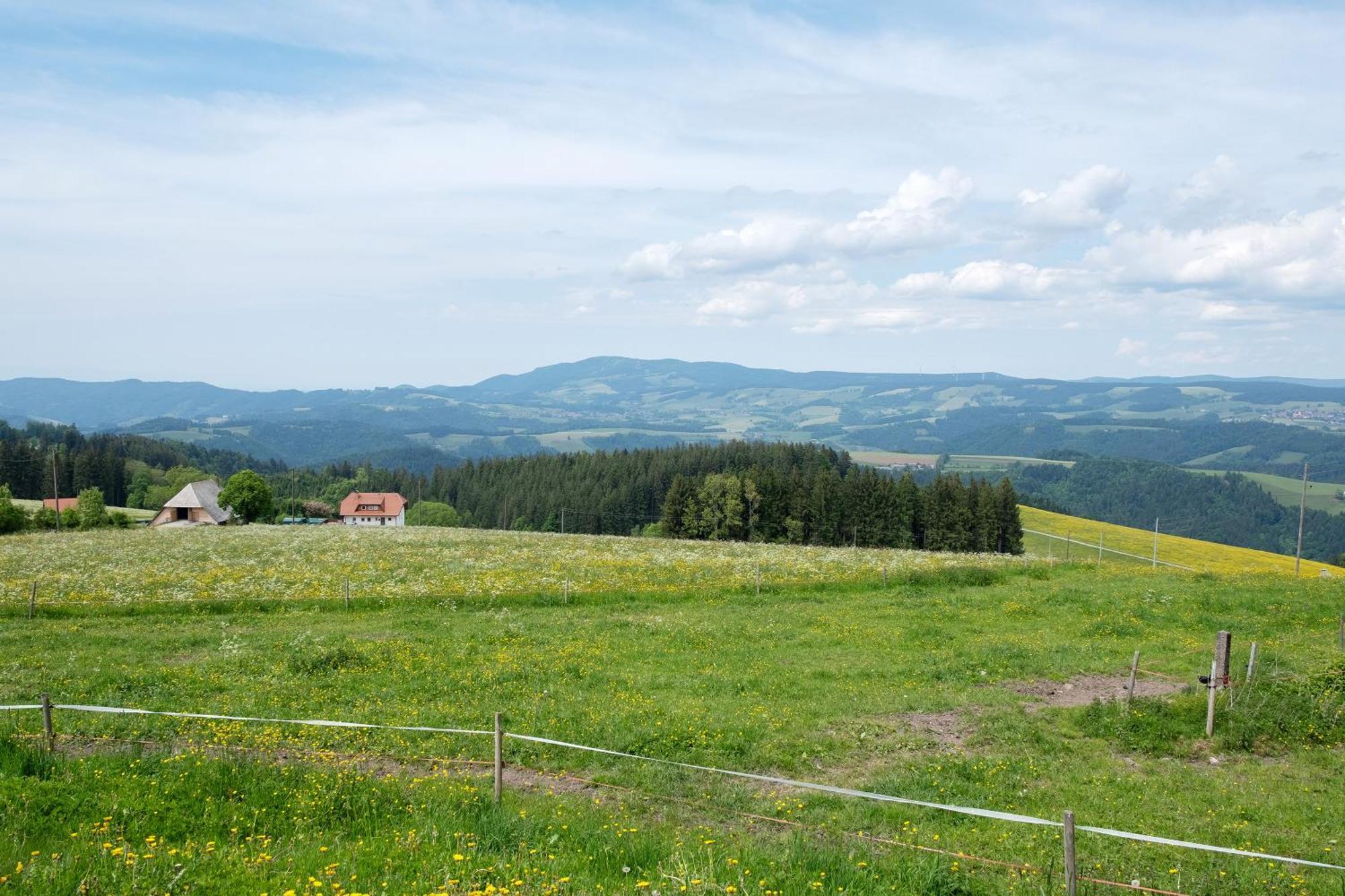 Apartamento Bäuerleshütte Breitnau Exterior foto